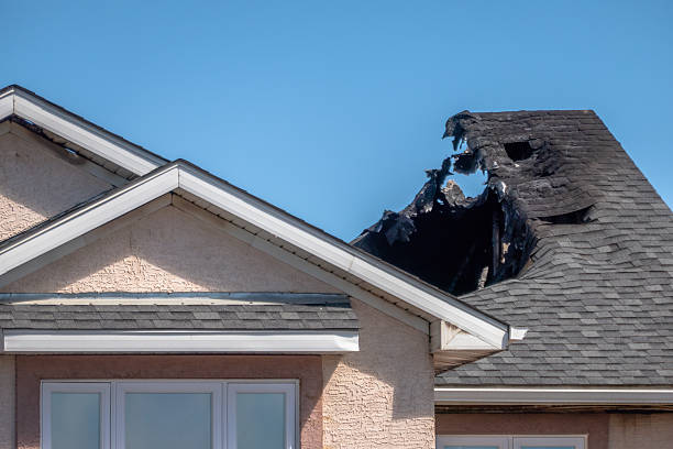 Top rated local Emergency Fire Cleanup specialists in Medford, MN